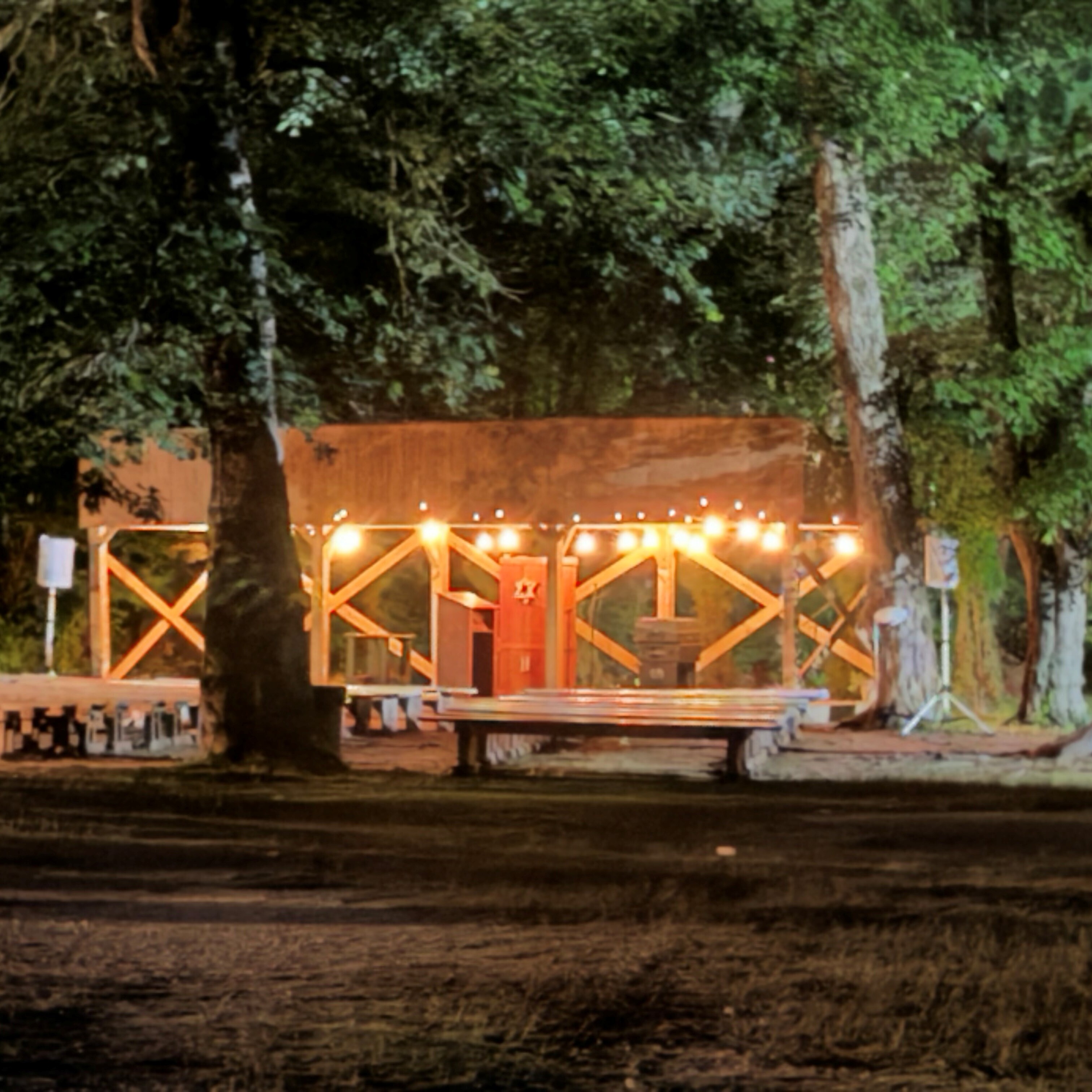 Camp Pembroke Alumnae Shabbat - logo